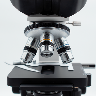 Microscopio Binocular Revelation III
