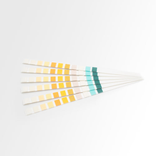 iDx + Urine Strip- 11 parameter